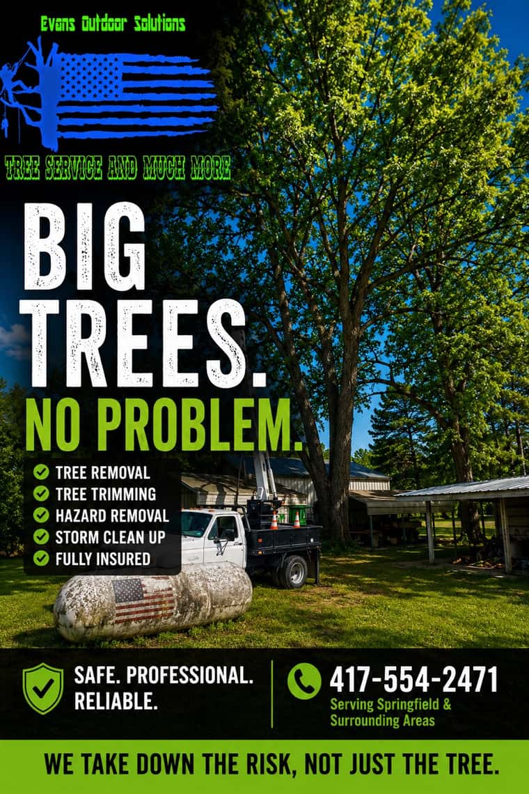 Tall tree being taken down piece by piece near Springfield, MO